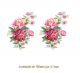 PEONIES-B-100x67mmx2un.jpg