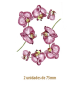 Celia-75mmx2un.png