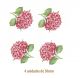 Hortencia-Rosa-50mmx4un.jpg