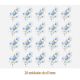 D_Little_Blue_Rose_65mmx20un_A.JPG