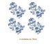 Blue-D-75mmx4un.jpg