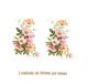 D_Wild-Rose-100x60mm.jpg
