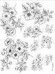 rosa canina_edited.jpg