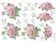 Rosas 02.png