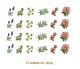 HERBS-30mmx24un.jpg