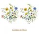 D_FieldFlower_90mmx2un.jpg