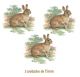 Rabbit_75mmx3un.jpg
