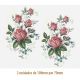 D_Little_Rose_B_108x70mmx2un_A.JPG
