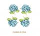 Hortensia-Azul-35mmx4un.jpg