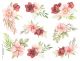 Pink Rose Blossom.jfif