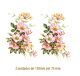 D_Wild-Rose-120x75mm-2un.jpg
