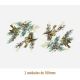 D_Goldcrest_100mmx2un_A.JPG