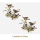 D_Wren_100mmx2un_A.JPG