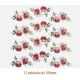 D_Jubilee_Rose_100mmx12un_A.JPG