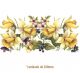 Spring-Daffodil-200mmx1un.jpg