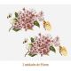 D_Pink_Branch_95mmx2un_A.JPG