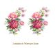 D_Peonies-A-140x85mmx2un.jpg