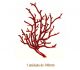 Coral-140mmx1un.jpg