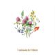 D_WILD-ROSE-130mmx1un_A.jpg