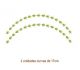 FLOWEROFTHEYEAR-Curva-17cm.jpg