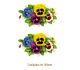 D_Amor-Perfeito_140mmx2un.jpg