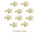Mistflower-H-45mmx10un.jpg