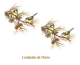 ChapimReal-75mmx2un.png