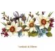 Spring-Bloom-200mmx1un.jpg