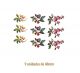 Beauty_Flowers-40mmx9un.jpg