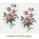 D_Little_Rose_A.jpg