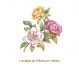 Camelia-165mmx130mmx1un.jpg