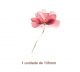 Watercolour-red-flower-135mm.jpg