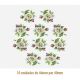 D_Garden_G_46x40mmx10_A.JPG