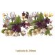 Spring-Narcissus-200mmx1un.jpg