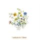 D_Field_Flower_130mmx1un_A.jpg