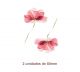 Watercolour-red-flower-80mm.jpg