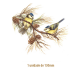 ChapimReal-130mmx1un.png