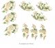 Mistflower-CUps-110mmx9un.jpg