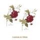 D_Rosagallica_100mmx2un_A.jpg