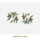 D_Goldcrest_75mmx2un_A.JPG