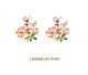 D_Wild-Rose-45mmx2un.jpg