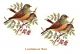 PAJARO-C-70mmx2un.jpg