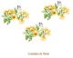 D_Yellow_Branch_70mmx3un_A.jpg