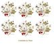 D_RosaCanina-75mmx6un.jpg