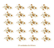 D_Little_Yellow_Rose_65mmx21un_A.jpg