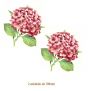 Hortensia-Rosa-100mmx2un.jpg
