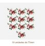 D_Jubilee_Rose_73mmx10un_A.jpg