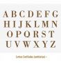 Letras Serifadas Ouro PORCELANA - 3cm 1