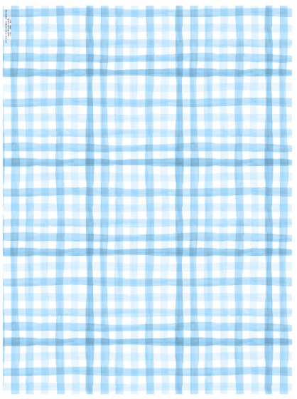 Plaid - Light Blue 1