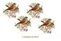 PAJARO-C-40mmx4un.jpg